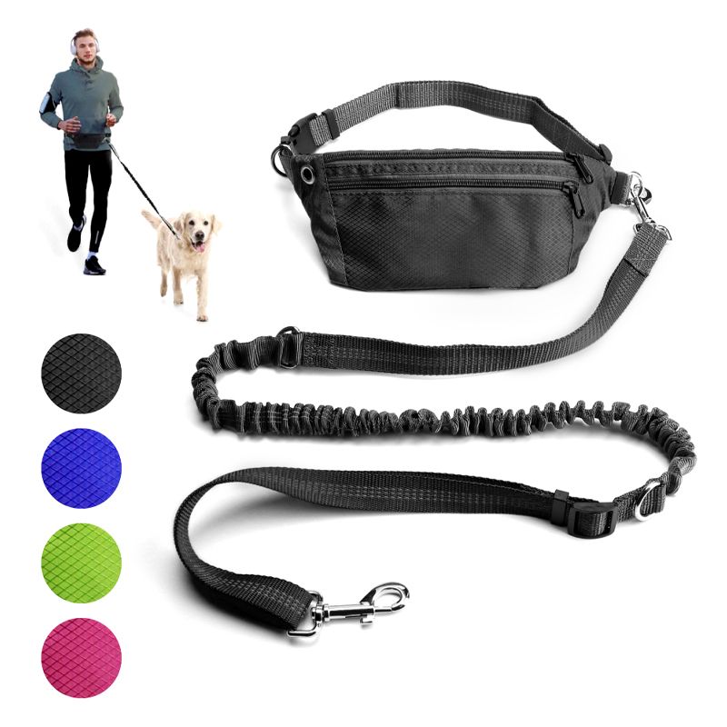 hands dog leash for running