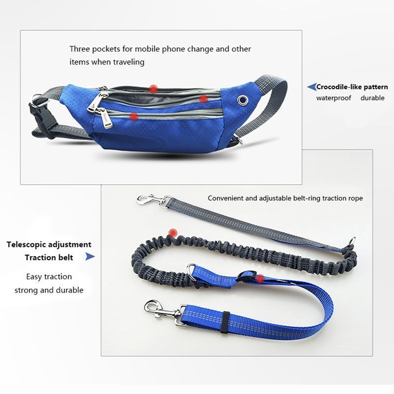 hands dog leash for running