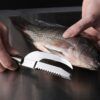 fish knife17.jpg