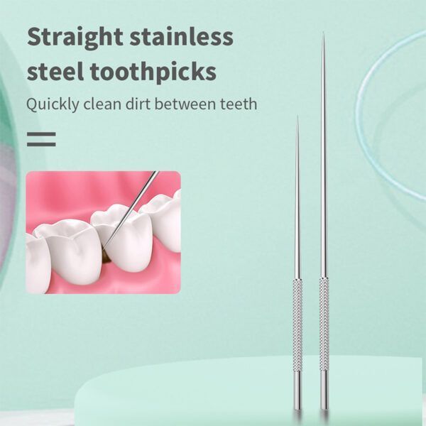 stainless steel toothpick set4.jpg