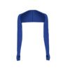 royal blue.jpg